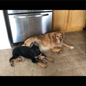 Meet your Posher, Kyle